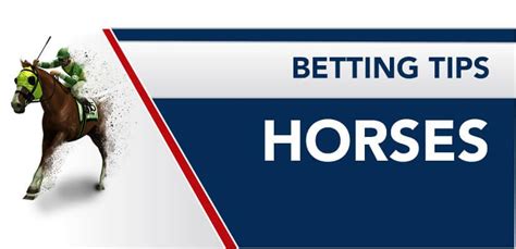 how to bet horses successfully
